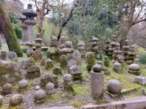 Japan 2024 515694507 10161747063122934 2172484107680101583 n