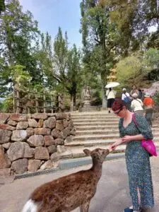 Japan 2024 515706536 10161747174592934 2873758161823087775 n