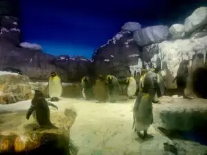 Japan 2024 515725795 10161747061337934 3995960665173767391 n