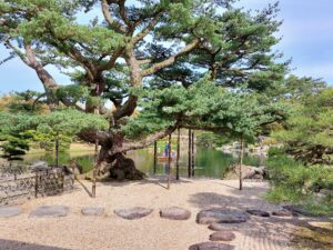 Japan 2024 515820454 10161747543417934 5340893079338370713 n