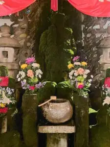 Japan 2024 515860082 10161747138277934 5229669250046073651 n