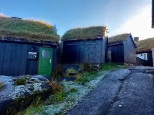 515885423 10161777232397934 2489760046099504016 n