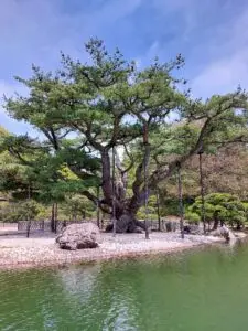 Japan 2024 515915737 10161747663952934 6062856725253169083 n