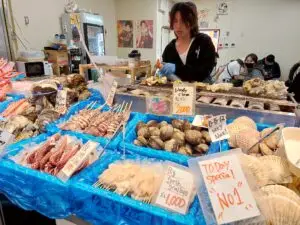 Japan 2024 515936348 10161747138447934 8879073919616789875 n