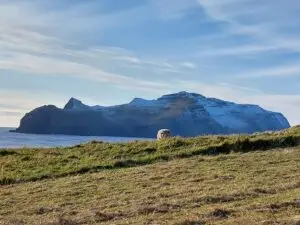 516019775 10161777314987934 550857497668028717 n