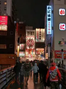 Japan 2024 516034213 10161747060667934 545237653361433886 n