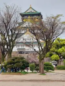 Japan 2024 516051760 10161747061297934 5260395370280696203 n