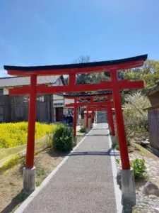 Japan 2024 516082670 10161747672582934 8020894953483785781 n