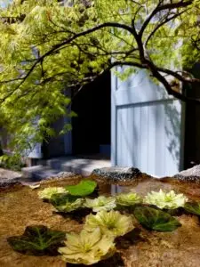 Japan 2024 516110554 10161747543612934 7760582577371457783 n