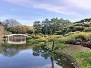 Japan 2024 516129565 10161747543837934 3582286203216283053 n