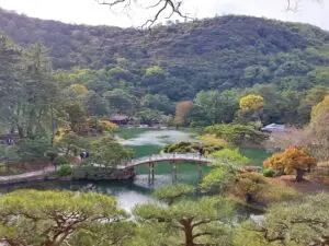 Japan 2024 516198331 10161747543832934 7130030070674782761 n (1)