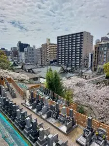 Japan 2024 516200275 10161747281372934 4371422806523602326 n