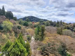 Japan 2024 516299909 10161747063237934 7303593465886996711 n