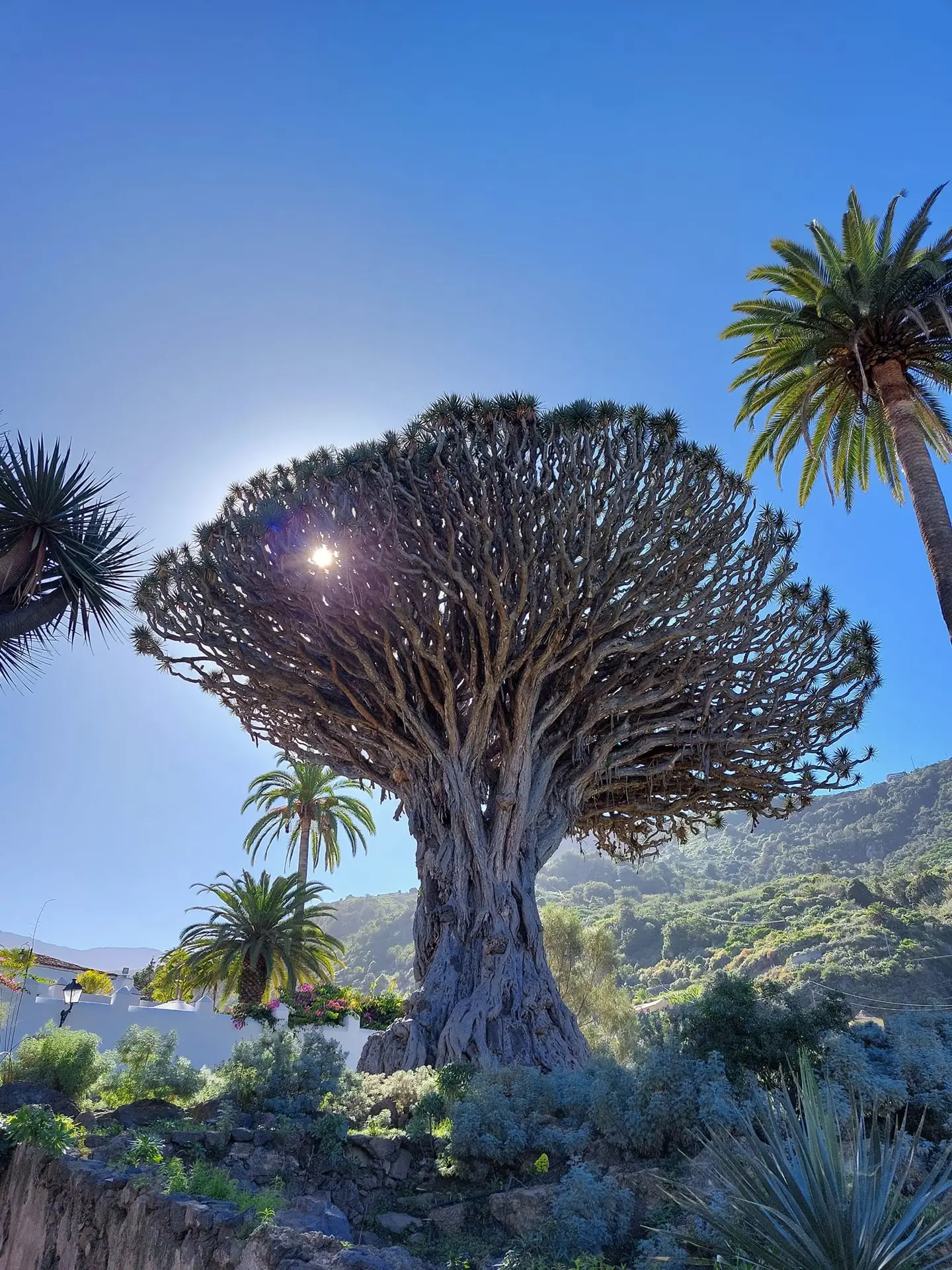 516386241 10161739894727934 3668558517819936573 n