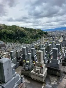 Japan 2024 516431557 10161747062707934 4253125841993655758 n