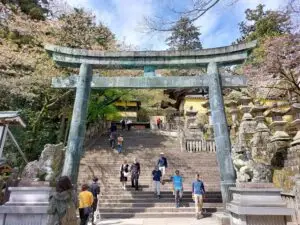 Japan 2024 516439986 10161747728077934 4609877980962461144 n