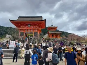 Japan 2024 516465893 10161747062812934 6741427409933255449 n