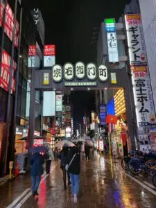 Japan 2024 516536420 10161747060897934 5759860739740169366 n