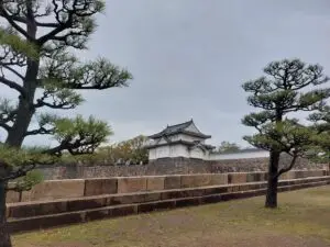 Japan 2024 516536420 10161747061312934 665569940807064840 n