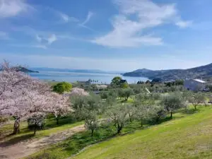 Japan 2024 516546639 10161747672607934 2665206057251293033 n