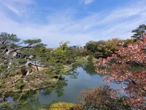 Japan 2024 516583124 10161747664392934 2621841325790497227 n