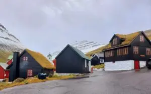 516595266 10161776177532934 2014213139721707935 n