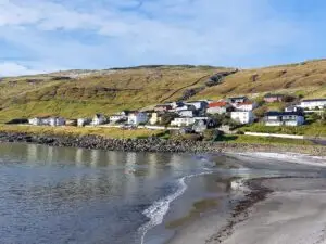 516637660 10161777310442934 570048010627002300 n