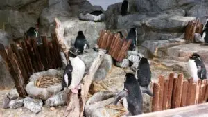 Japan 2024 516688747 10161747060777934 7368822827549822901 n