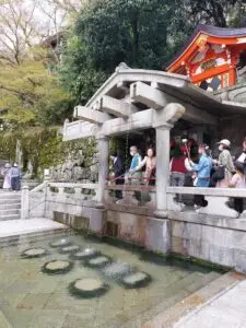 Japan 2024 516693352 10161747063152934 1659514609163521006 n