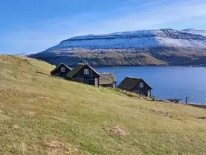 516743097 10161777312432934 5357041241609288847 n