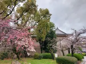 Japan 2024 516747730 10161747061392934 2702645447451378563 n