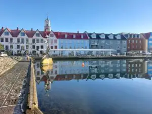 516788011 10161777232287934 1546353207136735089 n