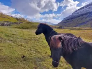 516926271 10161775218192934 7728951543148552163 n