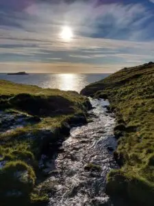 516941771 10161777312072934 5599050063415017846 n