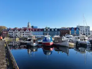 516949333 10161777232512934 96619359429892076 n