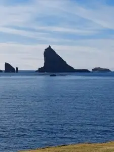 517122902 10161777312637934 8498583824105139441 n