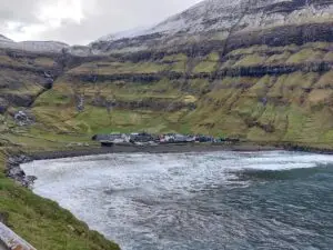 517126520 10161775218577934 5003740890169421975 n