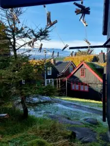 517138468 10161777232372934 4045260137265599802 n