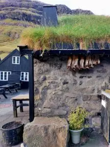 517151759 10161775218587934 6474253949370647359 n