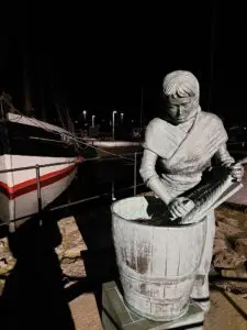 517371240 10161776183412934 7459662479503265386 n