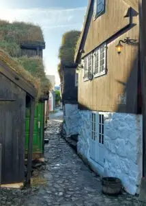 517393873 10161777232417934 4356446916041366185 n