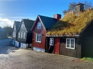 517502845 10161777232067934 3088500533347981327 n