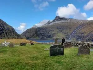 517516277 10161775218537934 7754262215101876105 n