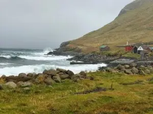 517610402 10161776144437934 1098123859118296174 n