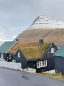 517625845 10161776180507934 188474836665487734 n