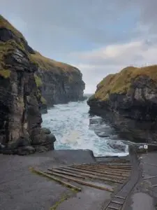 517905601 10161776180492934 5143259589328666287 n