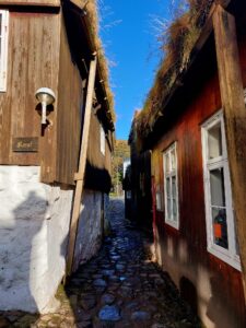 517914740 10161777232072934 6390317456063432471 n