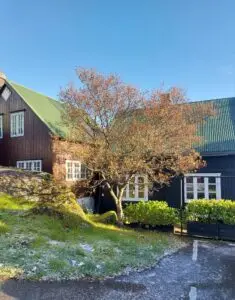 518127302 10161777232542934 945258877600493690 n