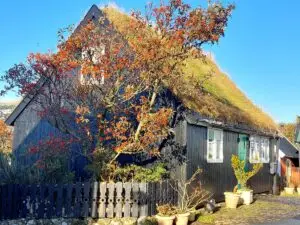 518236624 10161777232437934 4104582656265911394 n