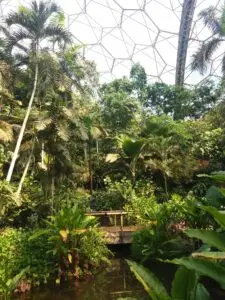 Cornwall 2019 eden project 02